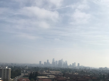 Restoring Justice: An Examination of Green Gentrification in Los Angeles
