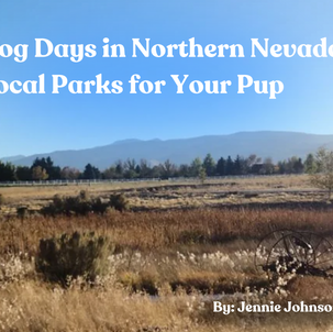 Dog Days in Northern Nevada: Local Parks for Your Pup