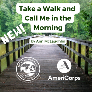 Take a Walk and Call Me in the Morning