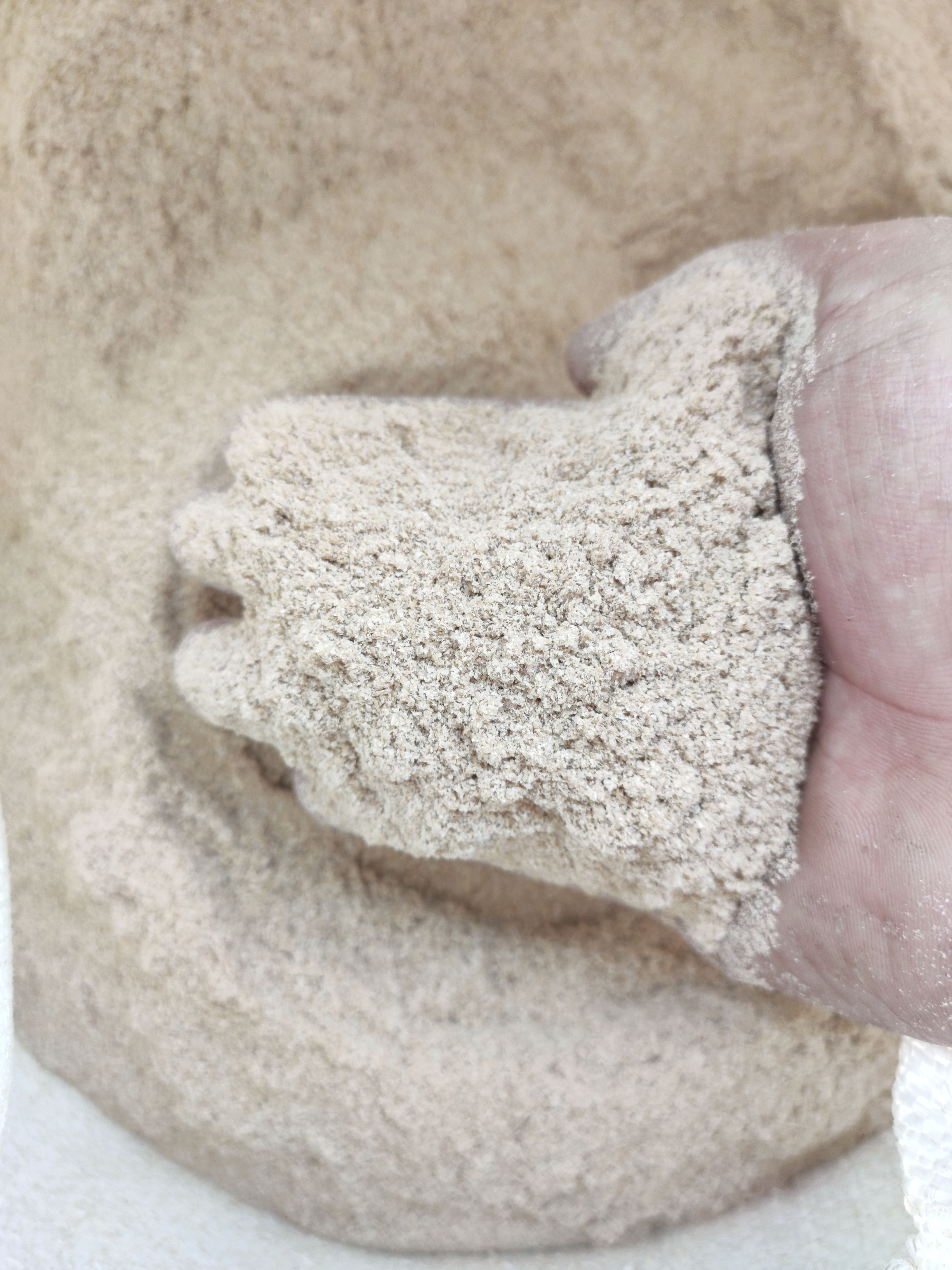 ဂျုံဖွဲ