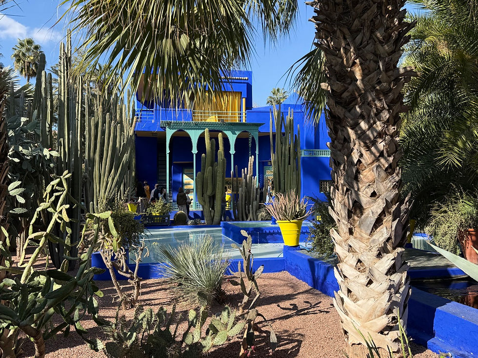 Ogród Majorelle w Marakeszu