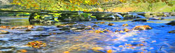 Tarr Steps