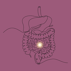 Digestive Metabolic Reveal.png