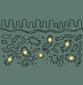 Microbiome Microbiota.png