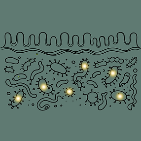 Microbiome Microbiota