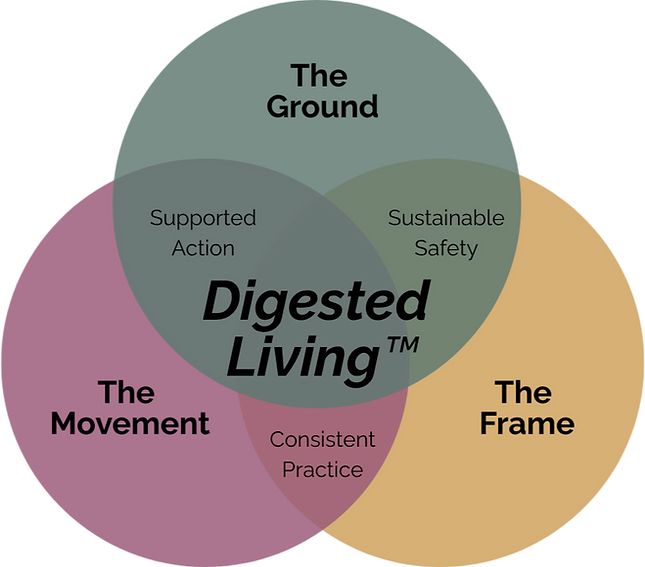 Venn Diagram1_edited.png