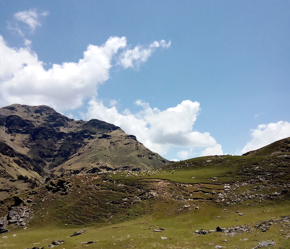 Herd of 500 sheep enroute to Kalaipir Pass