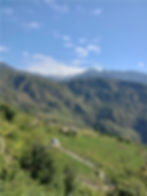 Farm fields of Raithal