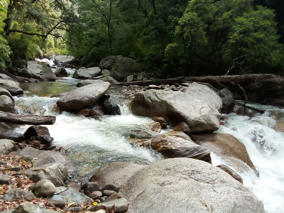 Bal Ganga river enroute to Gainwali