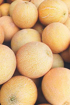 Melons.jpg