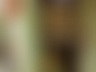 Favorite Fictional Characters, #291: Little Bear