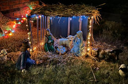christmas 20232_edited