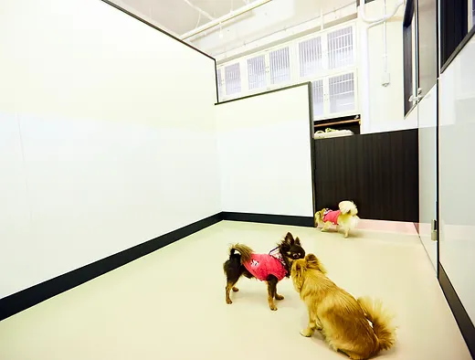 ふれあい広場 品川区のペットサロンらぶはーと