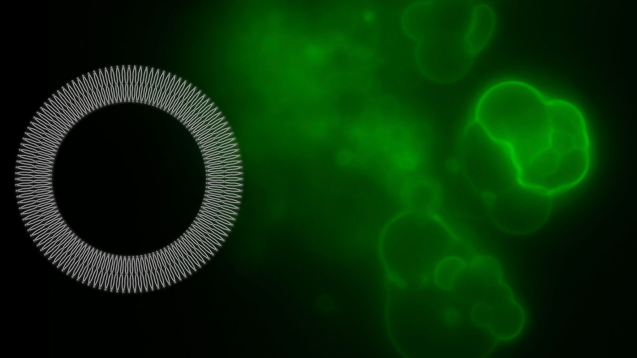 !cid_6B65B62C-F9E6-475B-B528-855CC0D910C