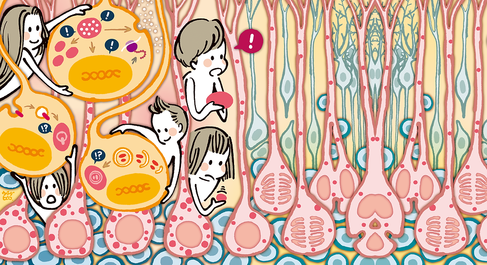 京都大学大学院生命科学研究科 高次科学専攻 小林グループ