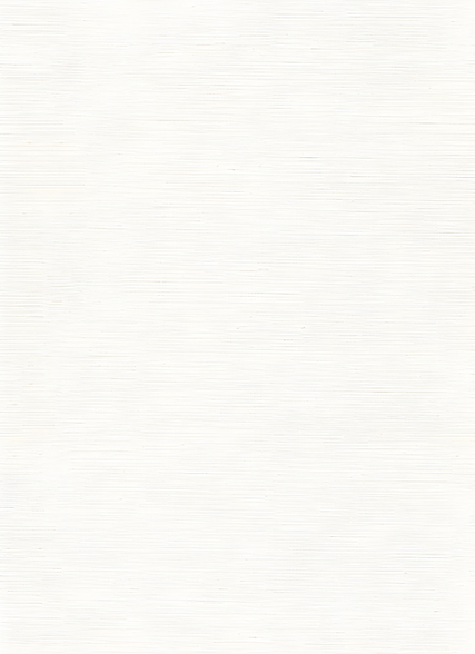 背景テクスチャ_edited.png