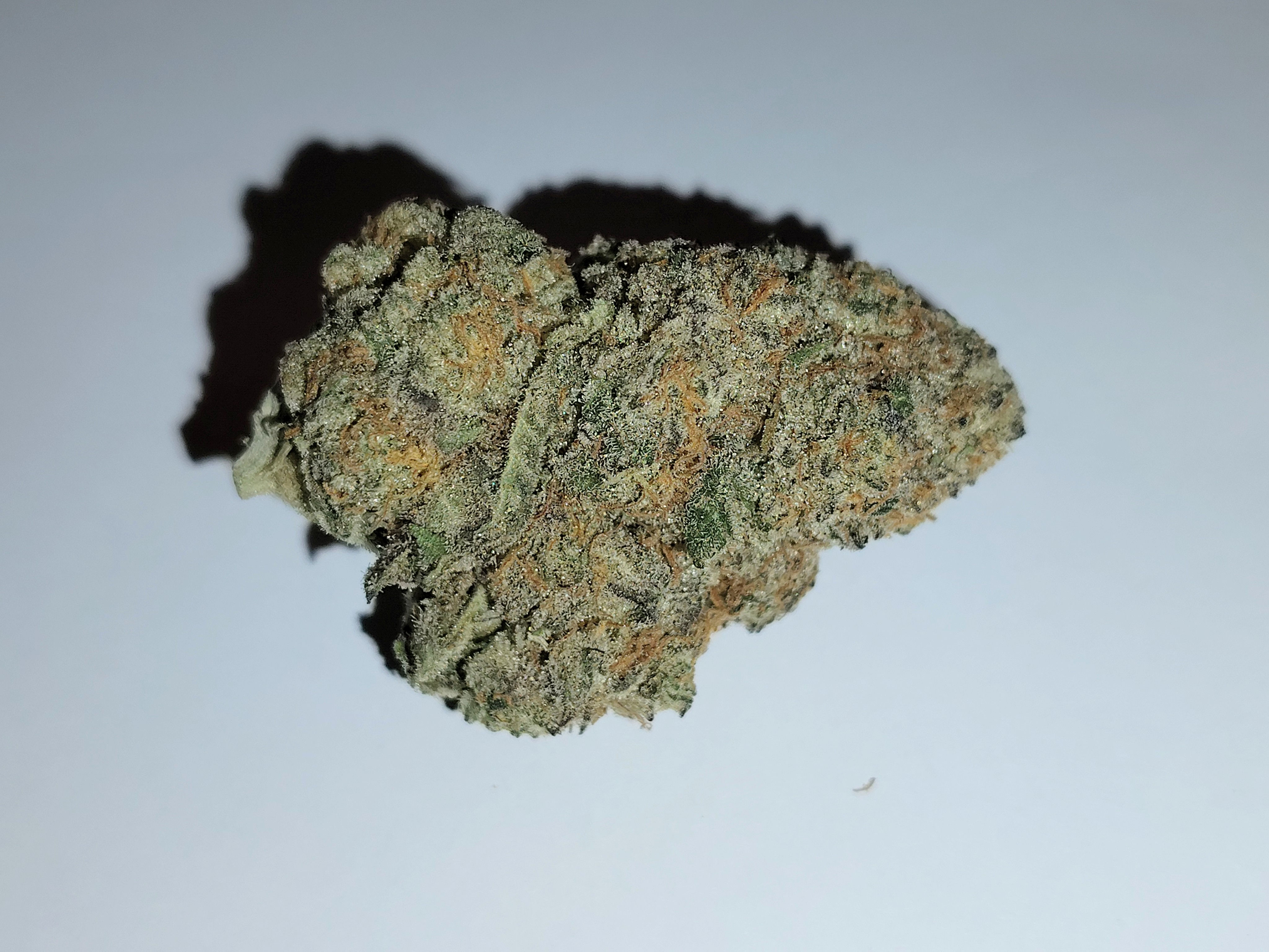 Novacaine (Hybrid) ($25-$130)**