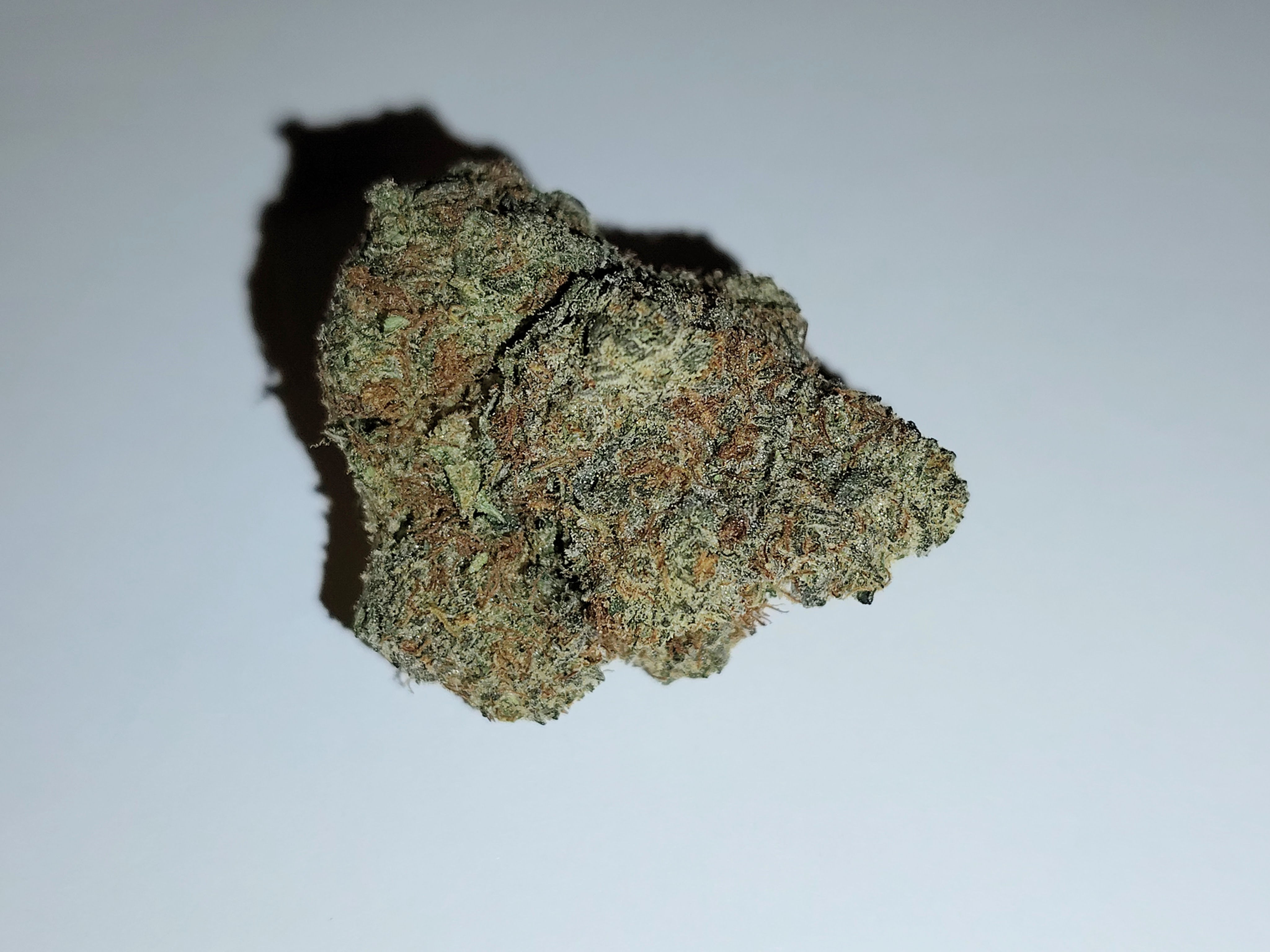 Tiger Cake (Hybrid) ($25-$130)**