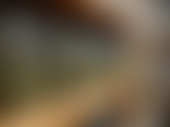 Top Value Cannabis Deals in Windsor: Your Guide to Value Cannabis in Windsor