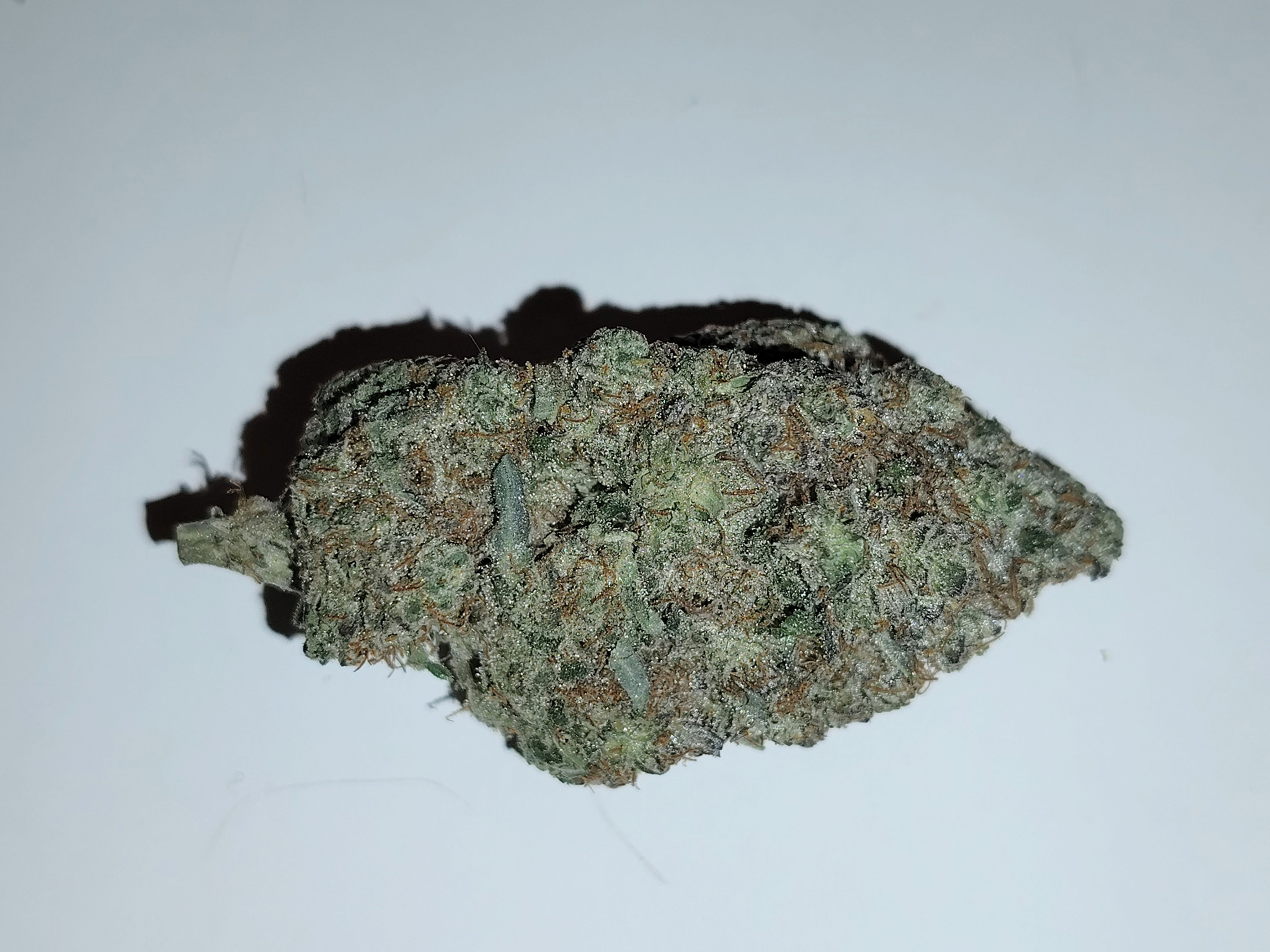 Platinum Gorilla (Hybrid) ($95/oz)**