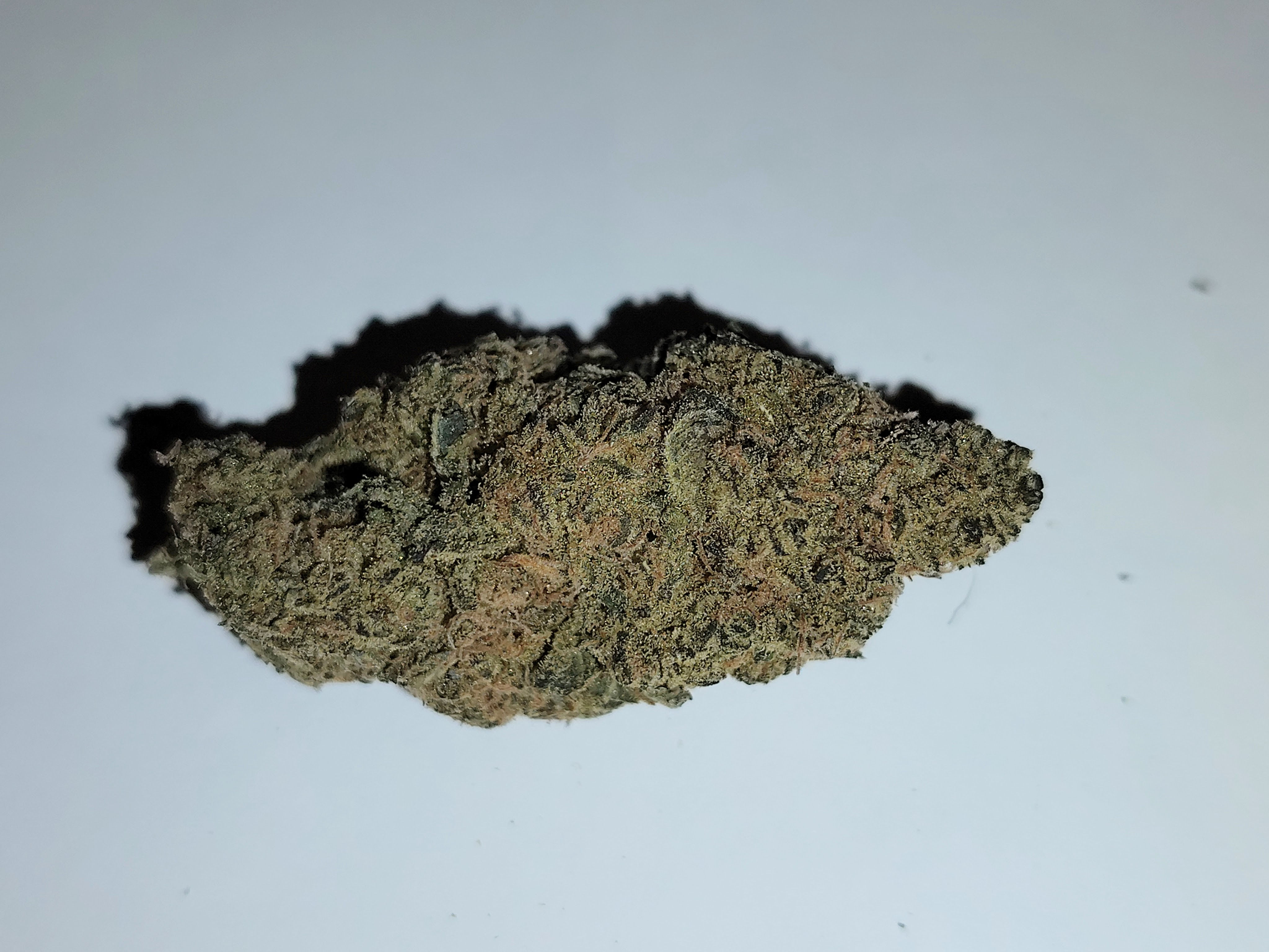 Gaslato (Hybrid) ($95/oz)**