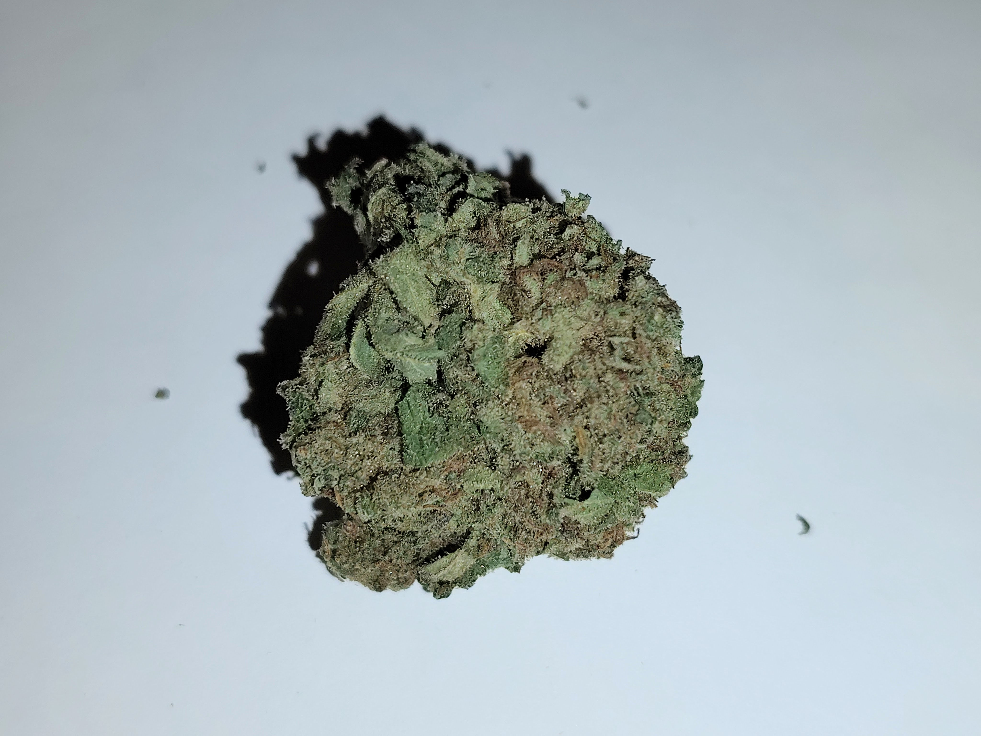 B29 (Hybrid) ($60/oz)**