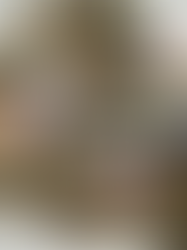 Team Building (aziendale)