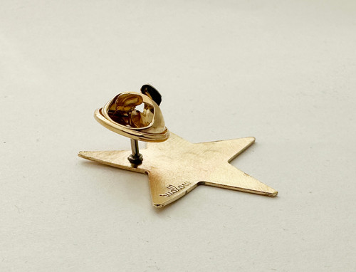 Adult Gold Star Pins | sudlow