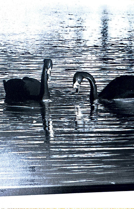 Image (1)_edited.jpg