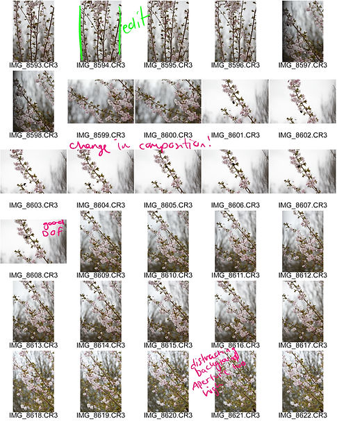 ContactSheet-003_(1).jpg