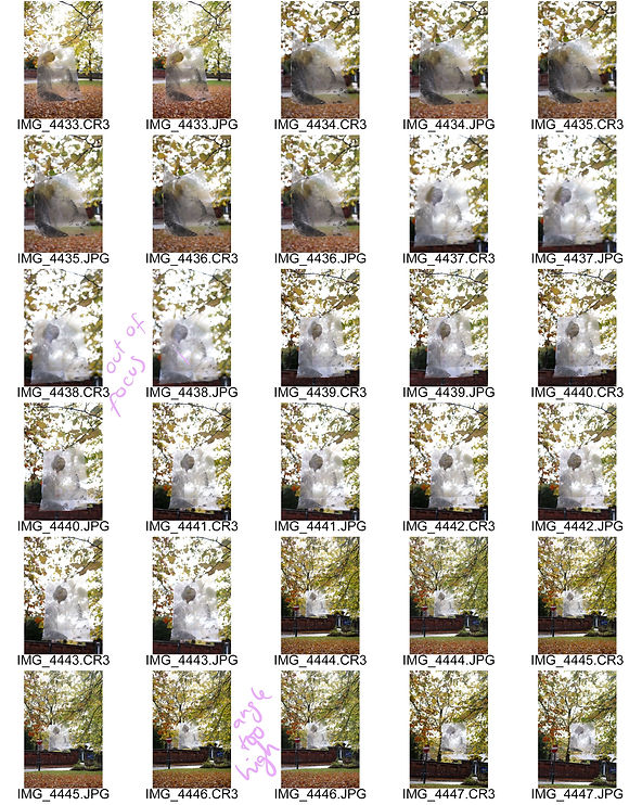 ContactSheet-003 2.jpg