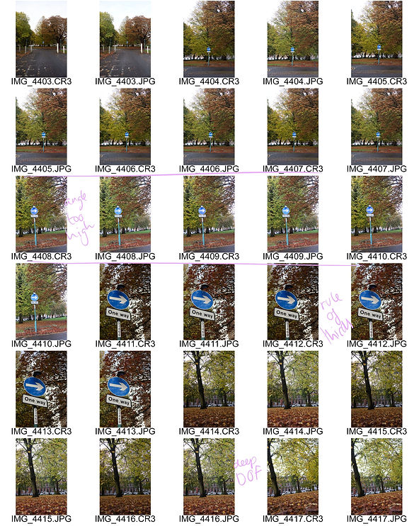 ContactSheet-001 2.jpg