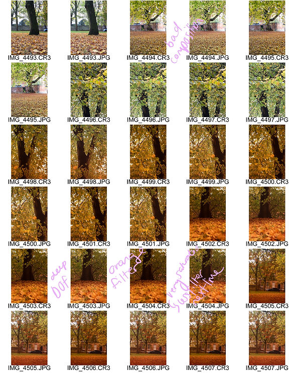 ContactSheet-007 2.jpg