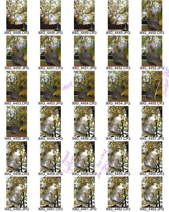 ContactSheet-004 2.jpg