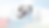 50ปี-04-01.png