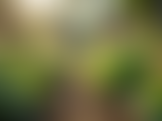 障害者雇用支援と地域活性化の連携