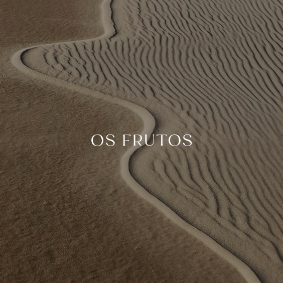 Mateus 7.15-23 – A árvore e o seu fruto
