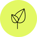 renewable.png