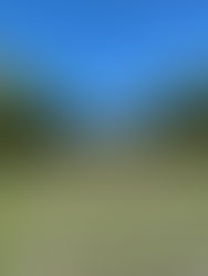 2022.09.25 府中の森公園