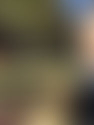 2022.11.06 和光樹林公園