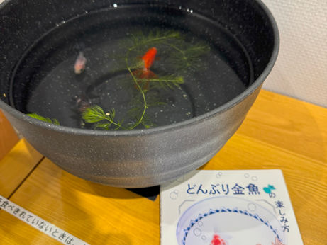 ヘルパーのひとりごと56
