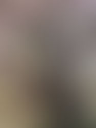 『パパとムスメの7日間』