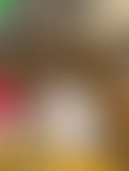 2023.01.22 府中の森公園