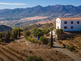 Boutique vineyard with winery in Malaga, Spain