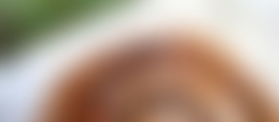 The Hunt for the Perfect Cinnamon Bun