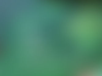 Guide to the Wimbledon Queue