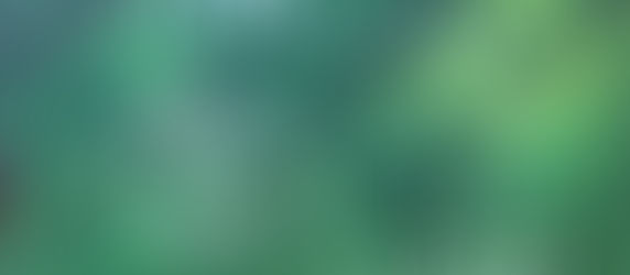 Guide to the Wimbledon Queue