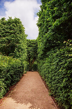 jardines-castillo-frente-al-castillo-real-parque-varsovia-arbustos-cesped-verde-diseno-pai