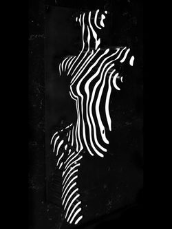 Linee di donna