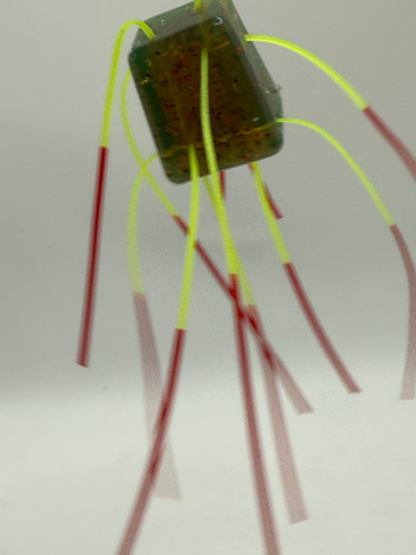 Dice Baits - Image 2